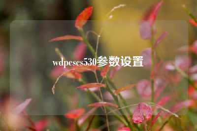 wdpcscs530参数设置