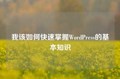 我该如何快速掌握WordPress的基本知识