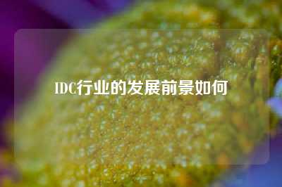 IDC行业的发展前景如何