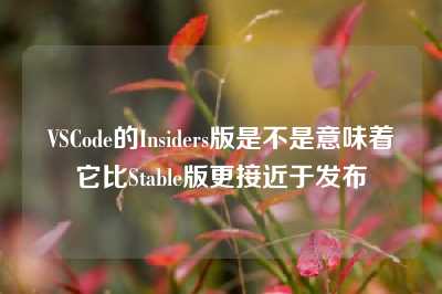 VSCode的Insiders版是不是意味着它比Stable版更接近于发布