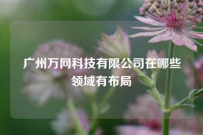 广州万网科技有限公司在哪些领域有布局