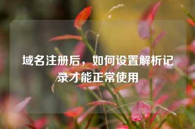 域名注册后，如何设置解析记录才能正常使用