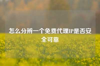 怎么分辨一个免费代理IP是否安全可靠