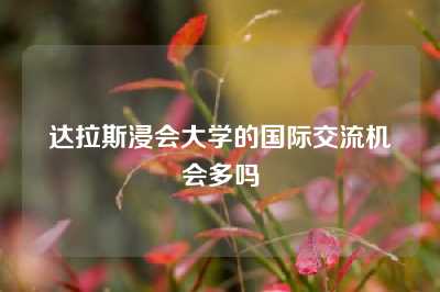 达拉斯浸会大学的国际交流机会多吗