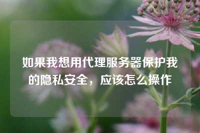 如果我想用代理服务器保护我的隐私安全，应该怎么操作