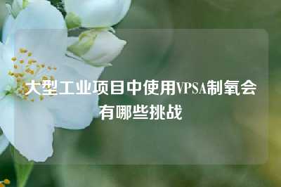 大型工业项目中使用VPSA制氧会有哪些挑战