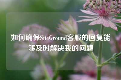 如何确保SiteGround客服的回复能够及时解决我的问题