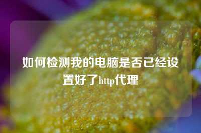 如何检测我的电脑是否已经设置好了http代理