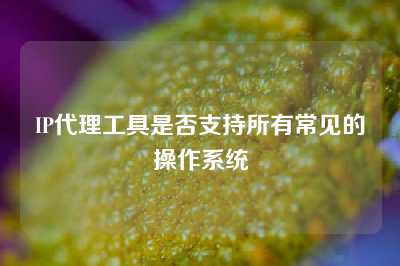 IP代理工具是否支持所有常见的操作系统