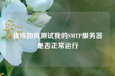 我该如何测试我的SMTP服务器是否正常运行