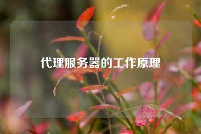 代理服务器的工作原理