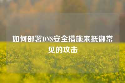 如何部署DNS安全措施来抵御常见的攻击