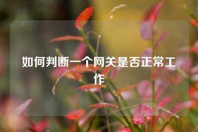 如何判断一个网关是否正常工作