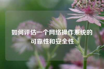 如何评估一个网络操作系统的可靠性和安全性