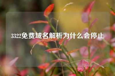 3322免费域名解析为什么会停止