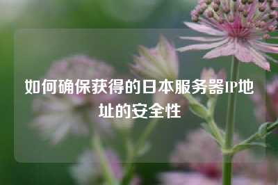 如何确保获得的日本服务器IP地址的安全性