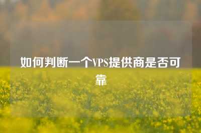 如何判断一个VPS提供商是否可靠