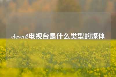 eleven2电视台是什么类型的媒体