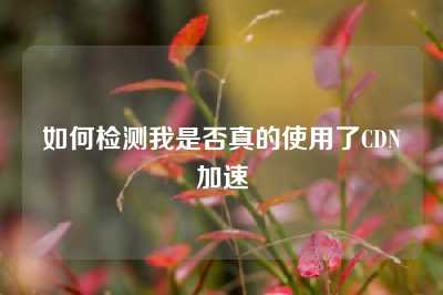 如何检测我是否真的使用了CDN加速