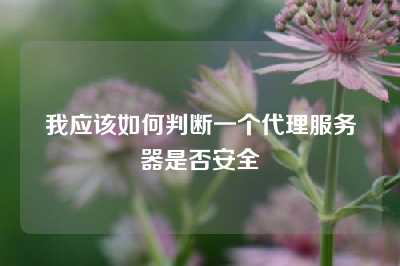 我应该如何判断一个代理服务器是否安全