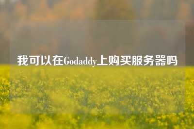 我可以在Godaddy上购买服务器吗