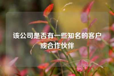 该公司是否有一些知名的客户或合作伙伴