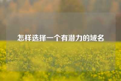 怎样选择一个有潜力的域名