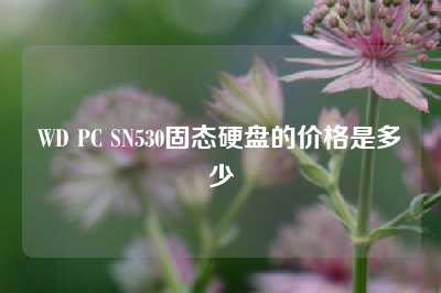 WD PC SN530固态硬盘的价格是多少