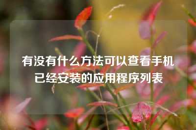 有没有什么方法可以查看手机已经安装的应用程序列表