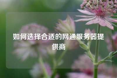 如何选择合适的网通服务器提供商