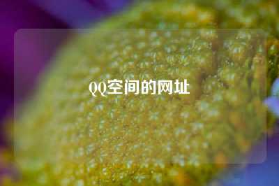 QQ空间的网址