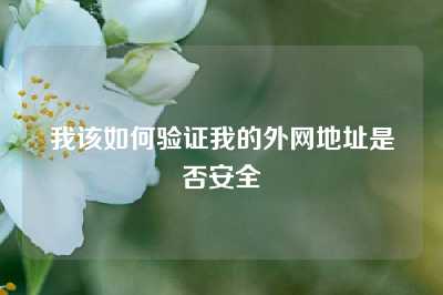 我该如何验证我的外网地址是否安全