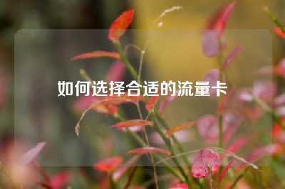 如何选择合适的流量卡