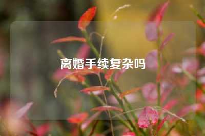 离婚手续复杂吗