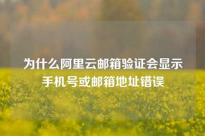 为什么阿里云邮箱验证会显示手机号或邮箱地址错误