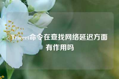Tracert命令在查找网络延迟方面有作用吗