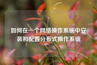 如何在一个网络操作系统中安装和配置分布式操作系统