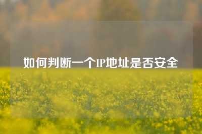 如何判断一个IP地址是否安全