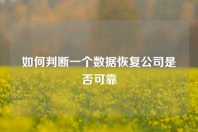 如何判断一个数据恢复公司是否可靠