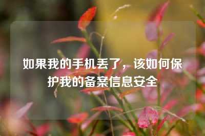 如果我的手机丢了，该如何保护我的备案信息安全