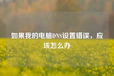 如果我的电脑DNS设置错误，应该怎么办