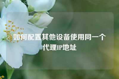 如何配置其他设备使用同一个代理IP地址