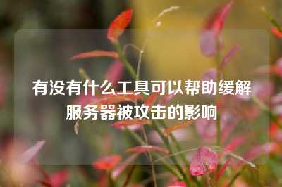 有没有什么工具可以帮助缓解服务器被攻击的影响