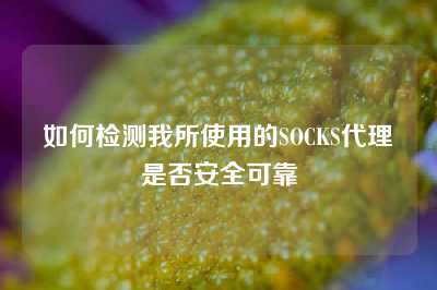 如何检测我所使用的SOCKS代理是否安全可靠