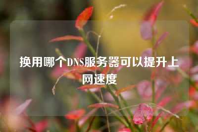 换用哪个DNS服务器可以提升上网速度