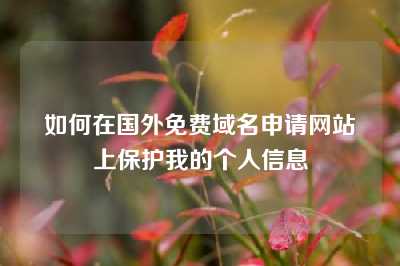 如何在国外免费域名申请网站上保护我的个人信息
