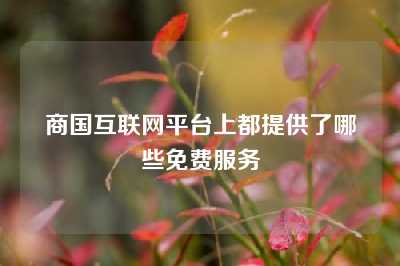 商国互联网平台上都提供了哪些免费服务
