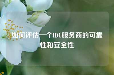 如何评估一个IDC服务商的可靠性和安全性
