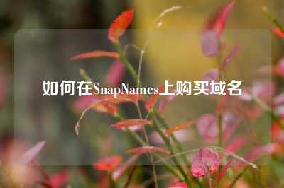 如何在SnapNames上购买域名