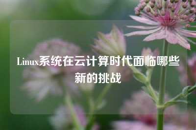 Linux系统在云计算时代面临哪些新的挑战